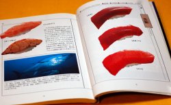 Photo1: SUSHI Pictorial Book from Japan