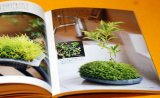 Photo: MINI SMALL BONSAI PHOTO BOOK from Japan