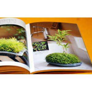 Photo: MINI SMALL BONSAI PHOTO BOOK from Japan