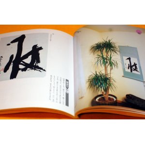 Photo: CALLIGRAPHY and ZEN ART PHOTO BOOK from Japan