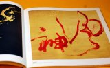 Photo: CALLIGRAPHY KOJI KAKINUMA ZEN ART PHOTO BOOK from Japan