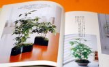 Photo: MINI SMALL BONSAI PHOTO BOOK by KAORI YAMADA from Japan