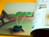 Photo: Enjoy the four seasons with MINI BONSAI Interior BOOK from Japan