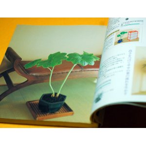 Photo: Enjoy the four seasons with MINI BONSAI Interior BOOK from Japan