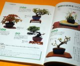 Photo: Let's start SMALL BONSAI Interior BOOK Japanese from Japan