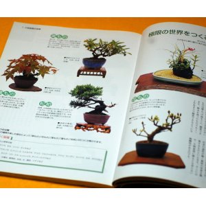 Photo: Let's start SMALL BONSAI Interior BOOK Japanese from Japan