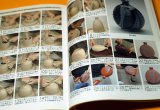 Photo: Let's start Ceramic Art how-to BOOK Japanese from Japan