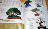 Photo: Make BONSAI understands with photographs book from japan japanese