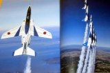 Photo: Perfect Guide of Blue Impulse book japan japanese fighter 11 Squadron