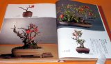 Photo: Four seasons of BONSAI photo book japan japanese