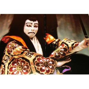 Photo: From Ebizo to Danjuro - Ichikawa Danjuro XII kabuki actor book japan rare