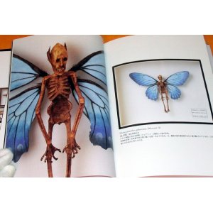 Photo: Cryptid Specimen Box book RARE monster uma dragon cryptozoology kaiju