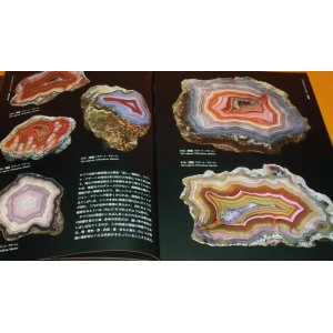 Photo: Picture book of Beautiful and Wonder Stone agate jasper landscape