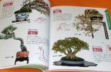 Photo: BONSAI beginner's book from japan japanese