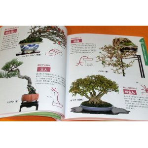 Photo: BONSAI beginner's book from japan japanese