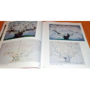 Photo: SAKRA (Cherry Blossoms) Sketch and Painting by CHINAMI NAKAJIMA book japa