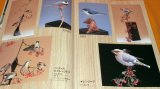 Photo: RARE Bird Carving for Beginners book from japan japanese