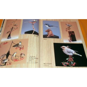 Photo: RARE Bird Carving for Beginners book from japan japanese