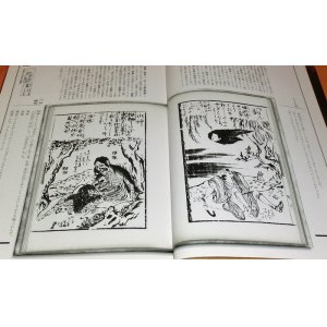 Photo: RARE Japanese Yokai Monster ukiyo-e picture in EDO period book from japan