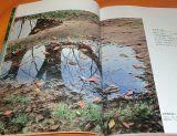 Photo: Watercolor Painting by Abe Toshiyuki : Seeking a Quiet Light book japanes