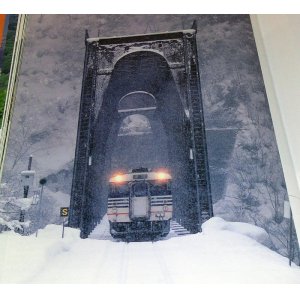 Photo: Railroad scenery of the four seasons in Japan book train electric car