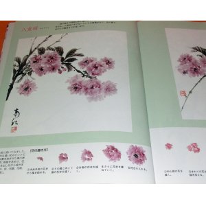 Photo: Flowers Drawn by Japanese Ink Wash Painting India Ink book from japan