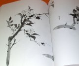 Photo: The Primer of Japanese Ink Wash Painting book from Japan India Ink zen