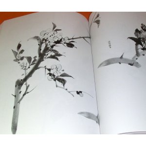 Photo: The Primer of Japanese Ink Wash Painting book from Japan India Ink zen