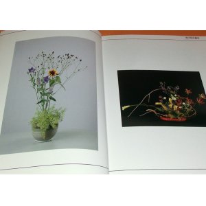 Photo: Ikebana : The form of the flower schematic book from Japan Japanese flowe