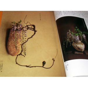 Photo: Japanese Traditional Ikebana Photo Book from Japan flower bonsai