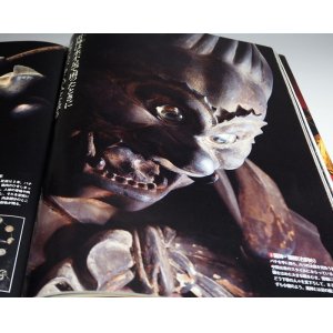 Photo: Japanese Buddharupa in Kyoto Full‐Scale Photo book Japan Buddha statue