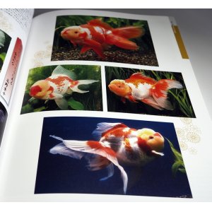 Photo: Goldfish Breeding book from Japan Japanese KINGYO