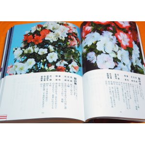 Photo: RHODODENDRON INDICUM PICTORIAL BOOK OF THE 1000 VARIETIES OF SATSUKI Japan