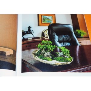 Photo: THE BEAUTIFUL SCENERY BONSAI BOOK from JAPAN JAPANESE