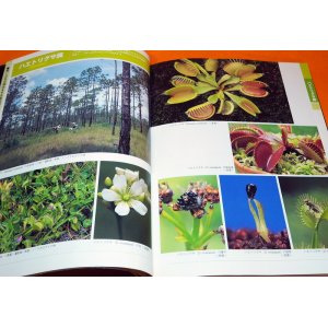 Photo: AMAZING WORLD OF THE CARNIVOROUS PLANTS BOOK FROM JAPAN JAPANESE