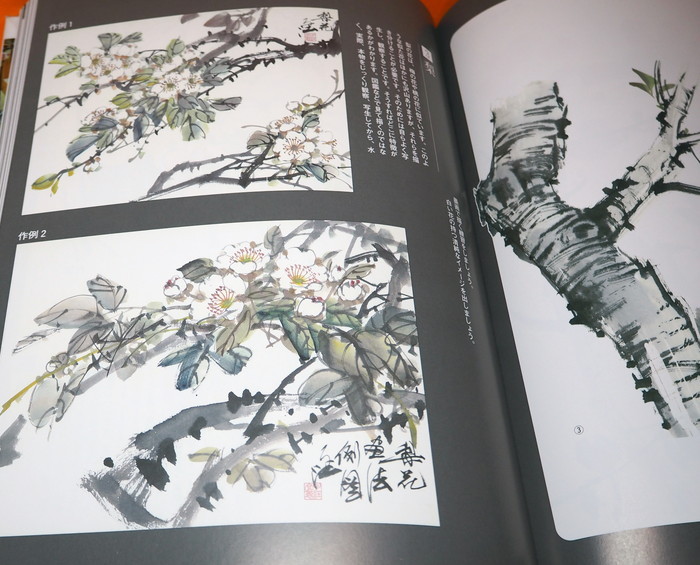 Japanese Ink Painting Book